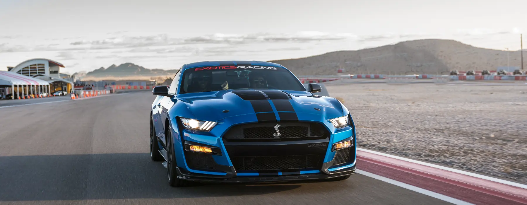  Shelby GT500